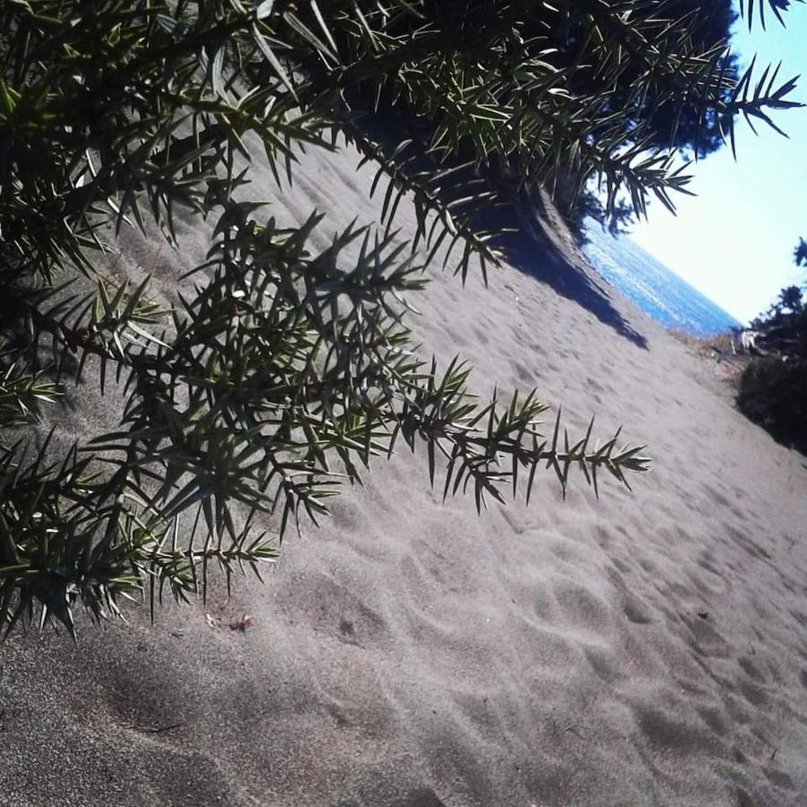 Cedrus And Sea, Beachfront House, Gennadi, Rhodes Exteriör bild
