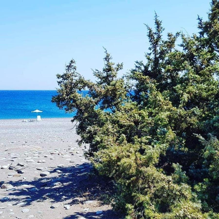 Cedrus And Sea, Beachfront House, Gennadi, Rhodes Exteriör bild